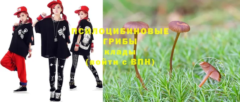 Галлюциногенные грибы Magic Shrooms  Калачинск 